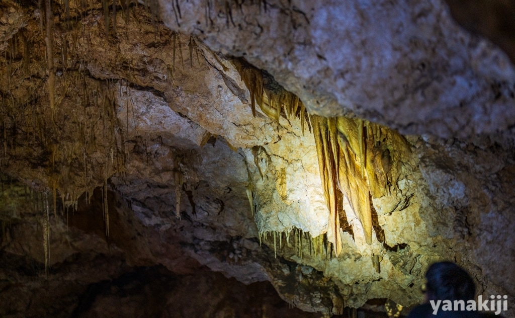 Crystal Cave(クリスタルケーブ)の洞窟ツアー
