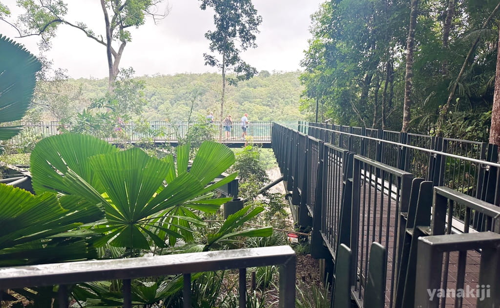 The Edge Lookout(スカイデッキ)