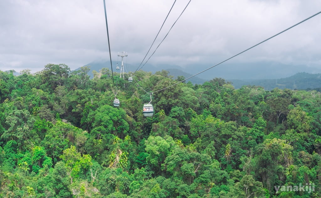 スカイレールで空中散歩！ケアンズの熱帯雨林を空から楽しむ方法