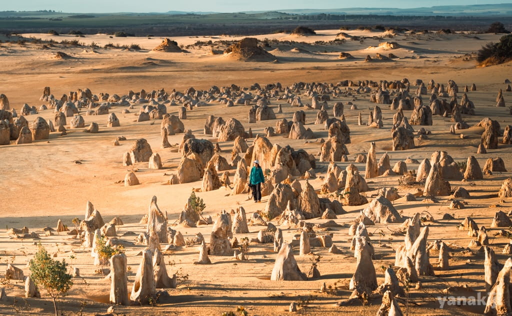 ウェーブ・ロックからピナクルズ砂漠の夕日へ