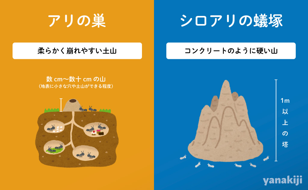 アリの巣とシロアリの蟻塚の見分け方