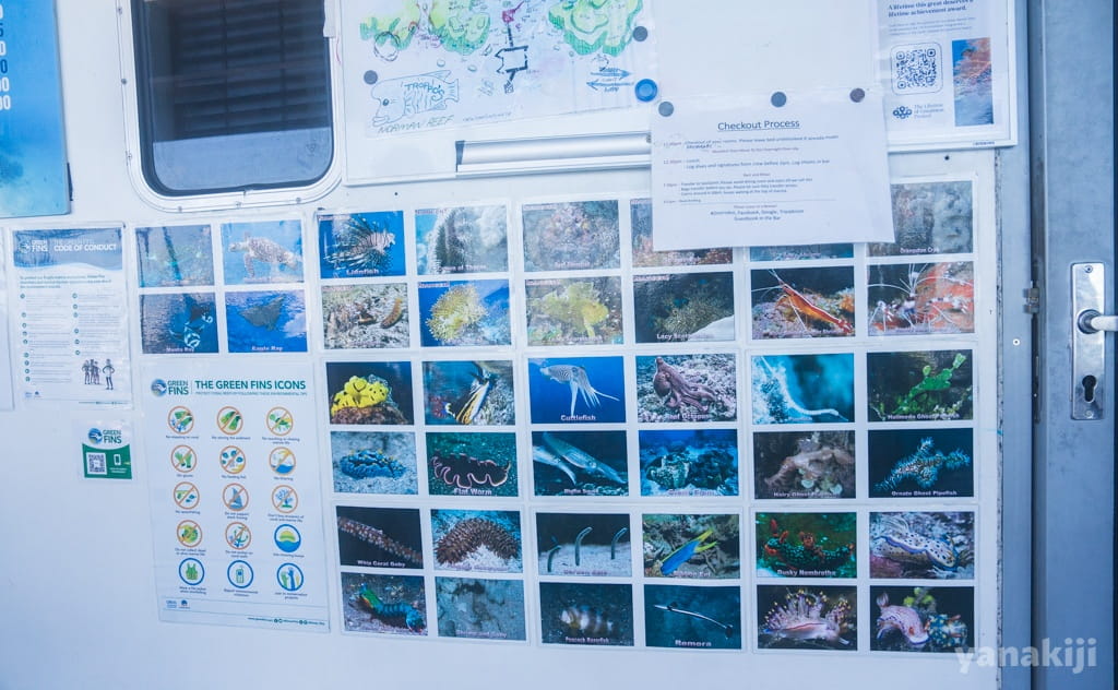 ホワイトボードには、グレートバリアリーフで見られる生き物の写真が貼ってある
