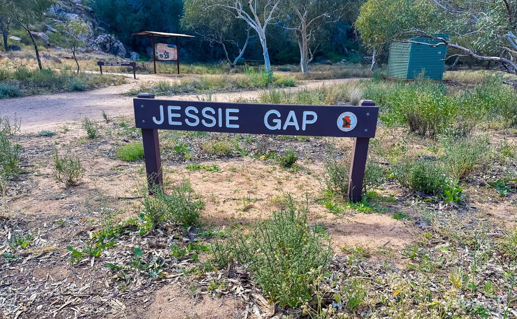 ジェシー・ギャップ(Jessie Gap)