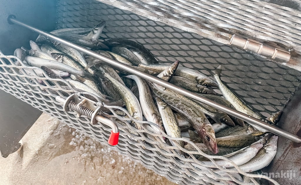 下処理される魚たち