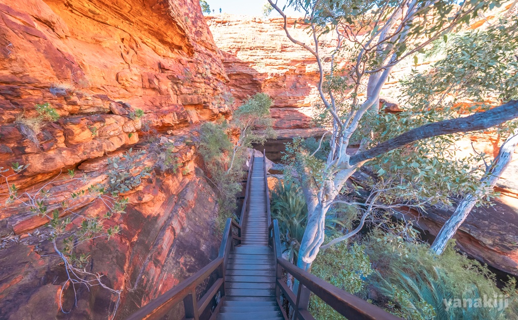 階段を降りたらエデンの園
