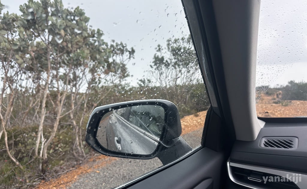 雨が降ってきた