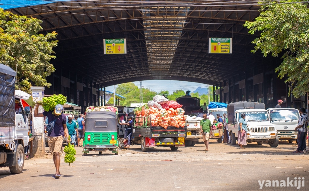 Dambulla Dedicated Economic Centre(スリランカ国内最大級の卸売市場)