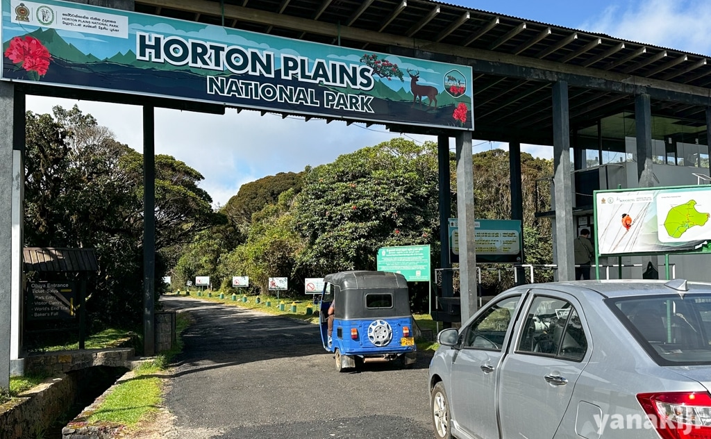 ホートン・プレーンズ国立公園で高原ドライブ！ヌワラエリヤで茶園巡りも