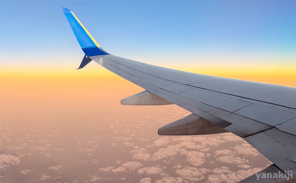 成田空港から直行便でパラオへ！入国審査とレンタカー受け取りまで