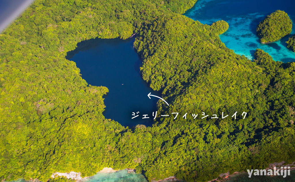 ジェリーフィッシュレイク