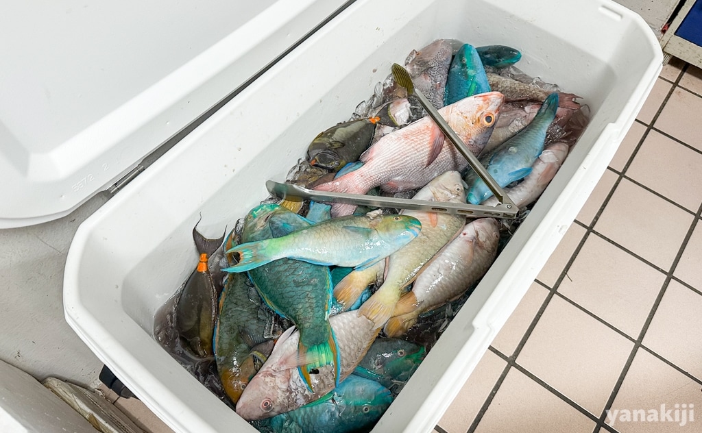 魚