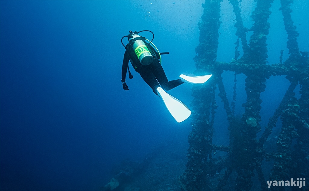 パラオ最後のダイビング！沈没船・石廊とシアストンネル、釣りたてバラクーダの刺身