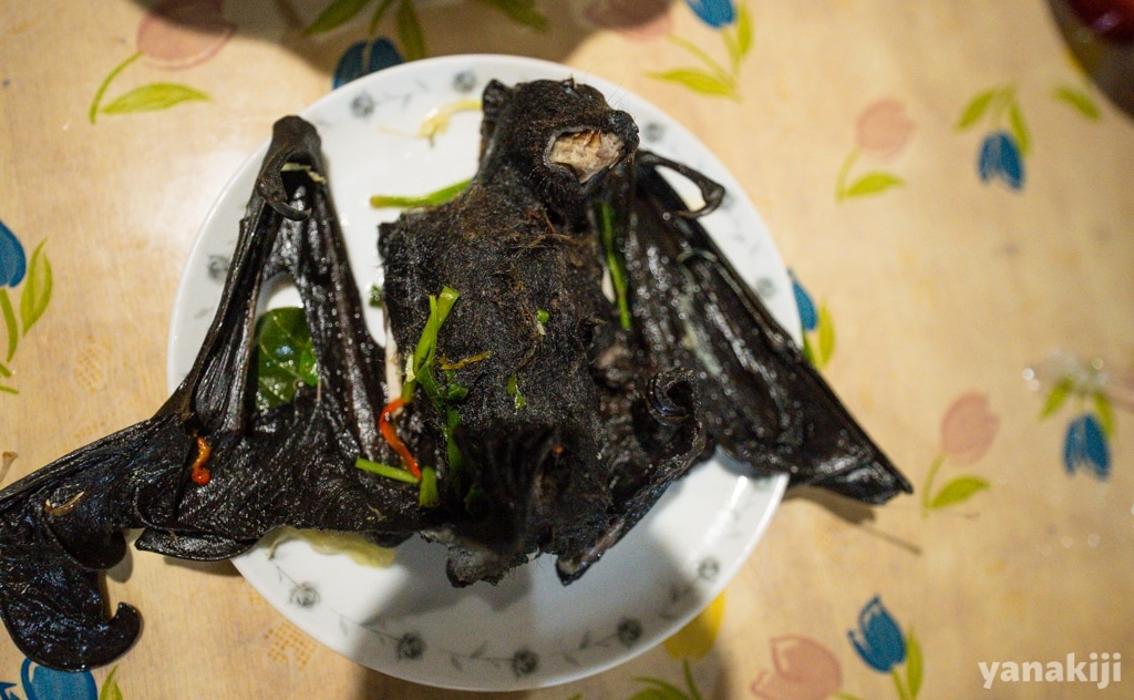 コウモリスープ8