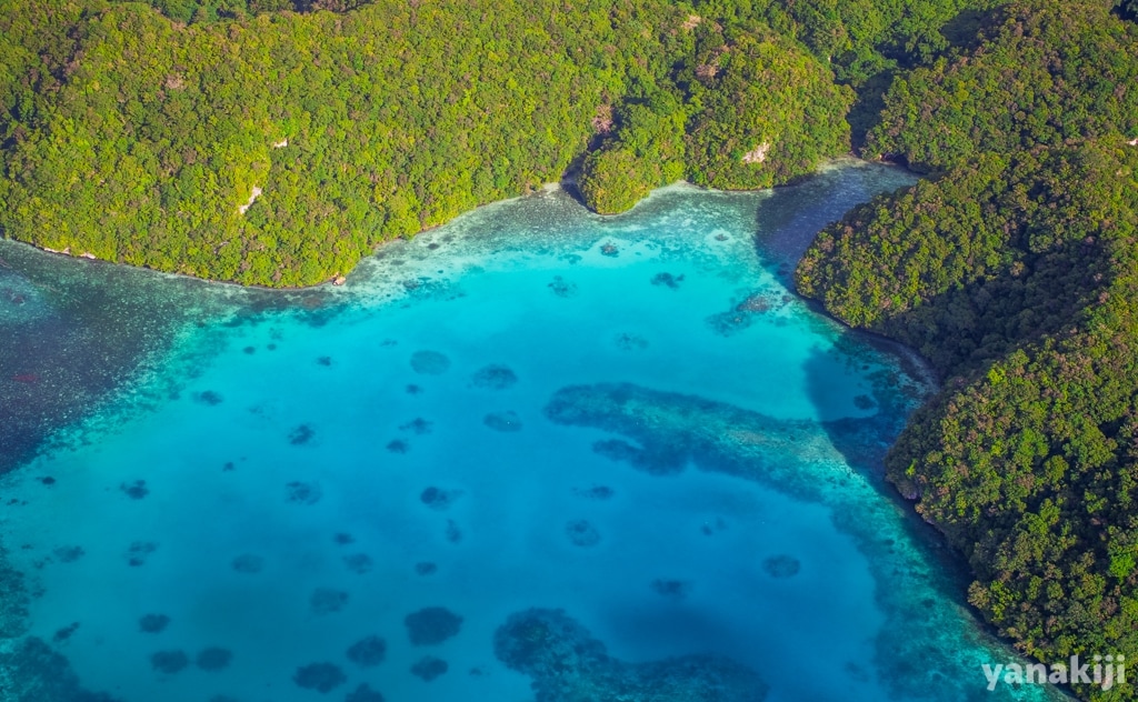 綺麗な海