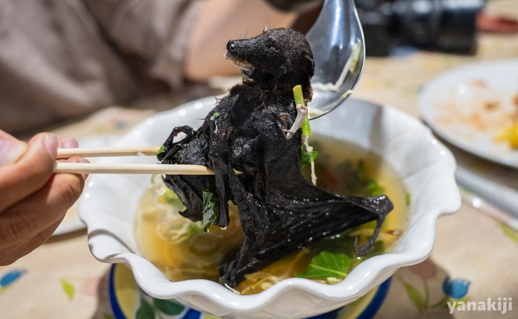 パラオ名物コウモリスープを食べてみた！丸ごとコウモリ、その味は？